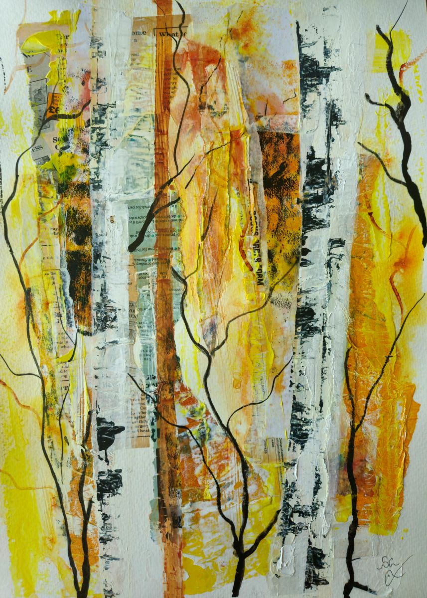 The Enchanted Sleeper